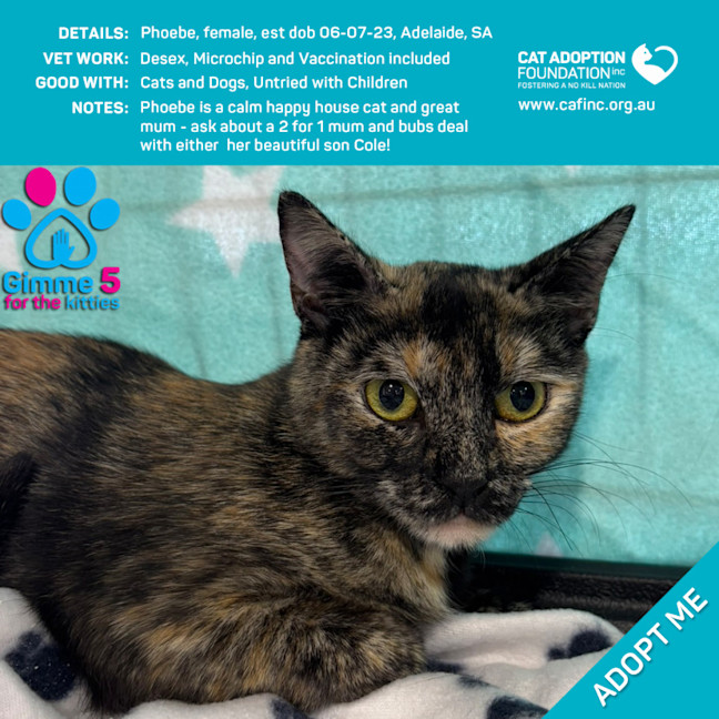 Photo of Phoebe 2 For 1 Mum & Bubs Deal Available!