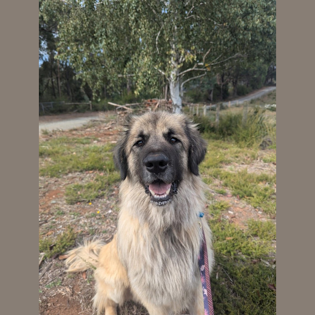 Photo of Hercules