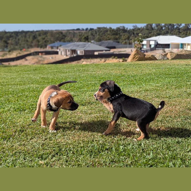Photo of Dracule Mihawk