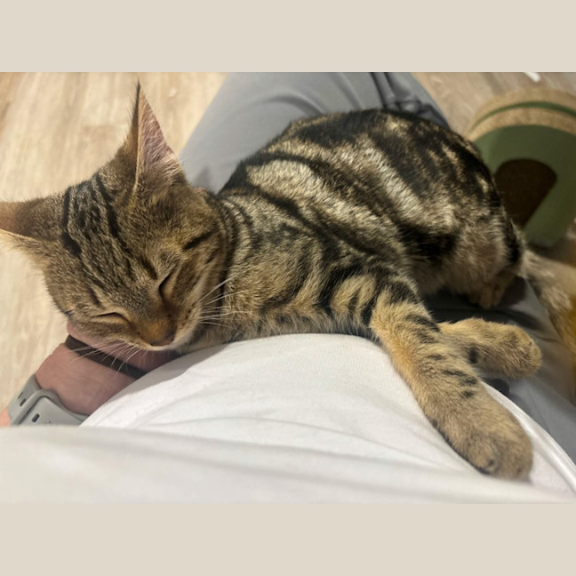 Photo of Bug