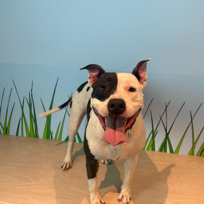 Photo of Storm