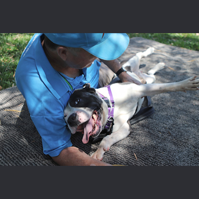 Photo of Otis