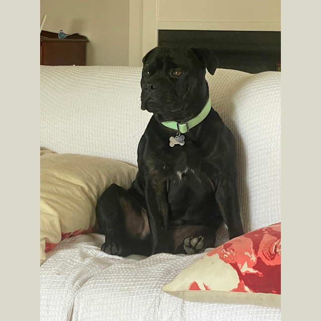Photo of Reggie