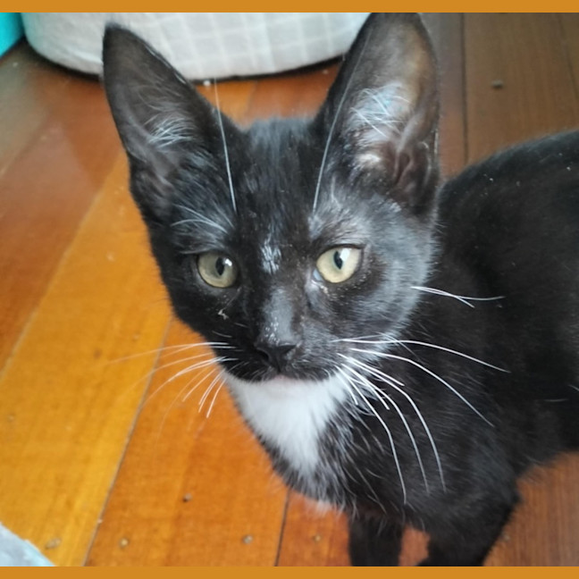 Photo of 🩵 Delilah 🩵