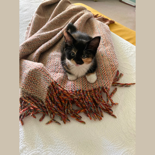 Photo of Frances