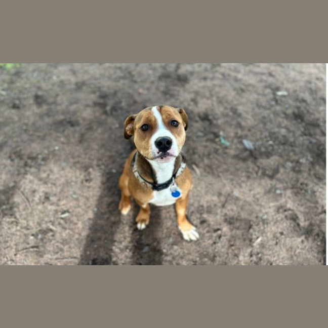 Photo of Hazel