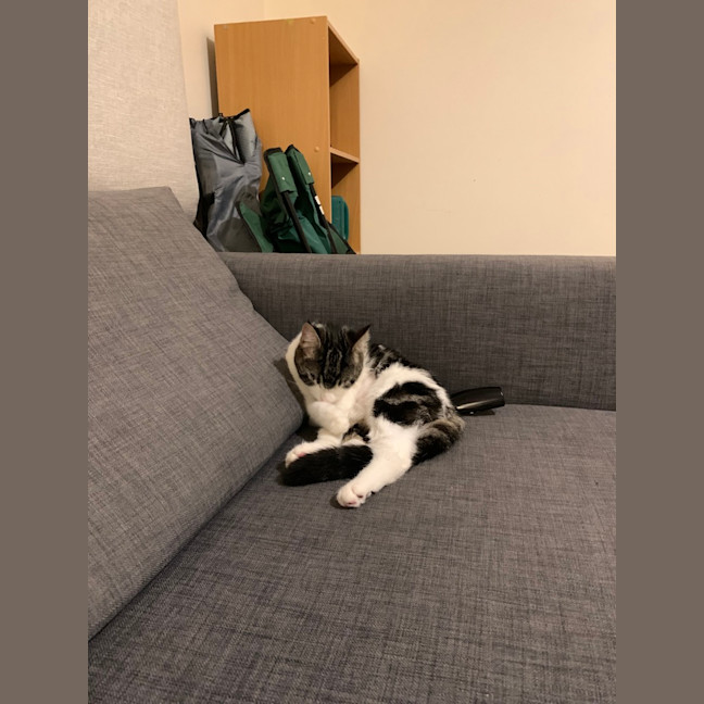 Photo of Poppy (Was Betty)