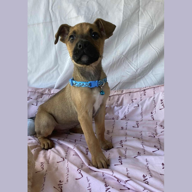Photo of Gus