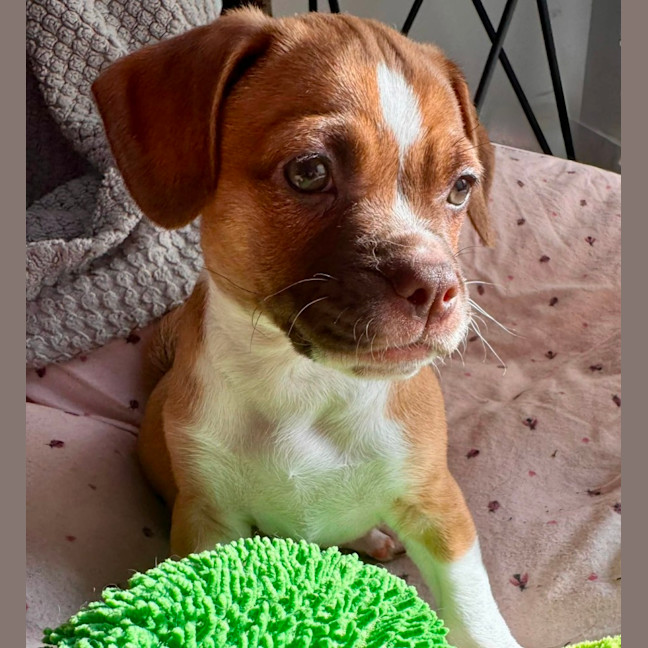 Photo of Kiki