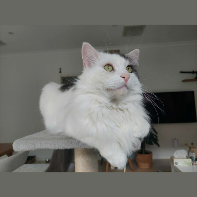 Photo of Walter 