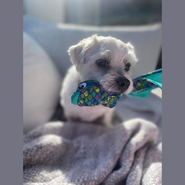 Photo of Max