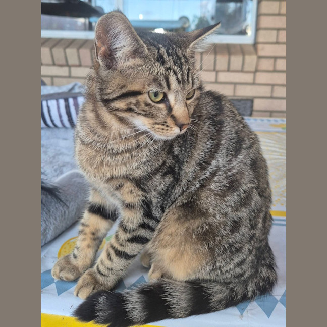 Photo of Fliss