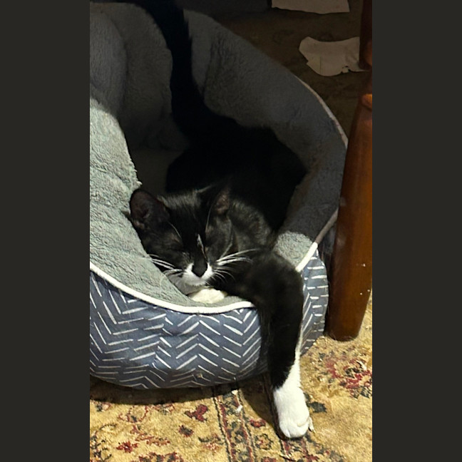 Photo of Finnian