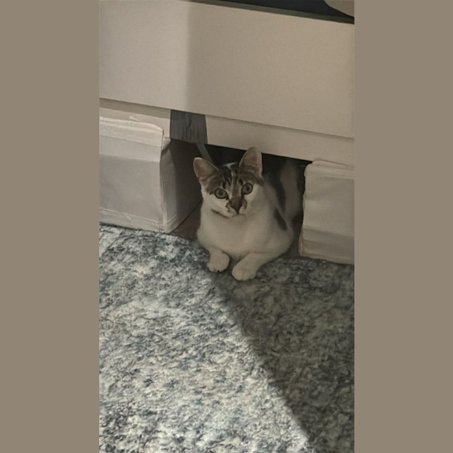 Photo of Nugget Scott