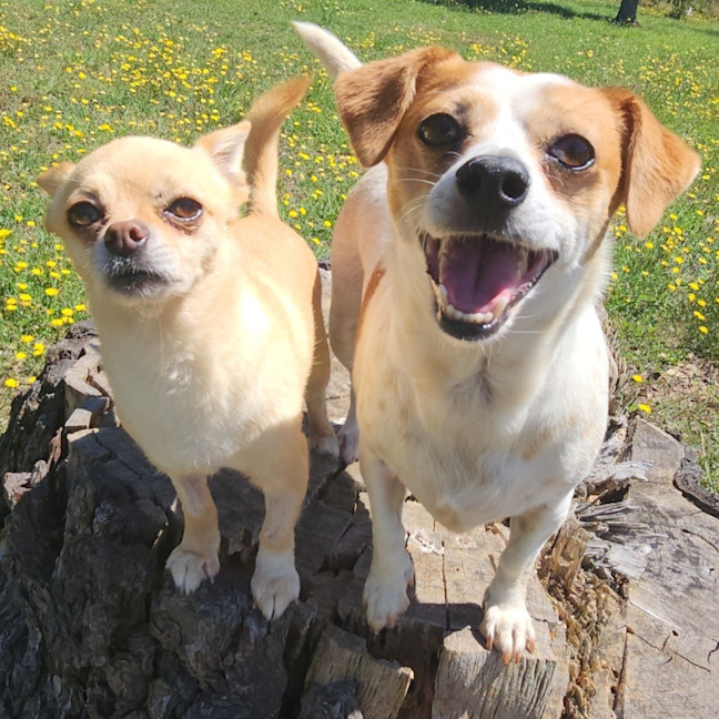 Photo of Biggie And Vander
