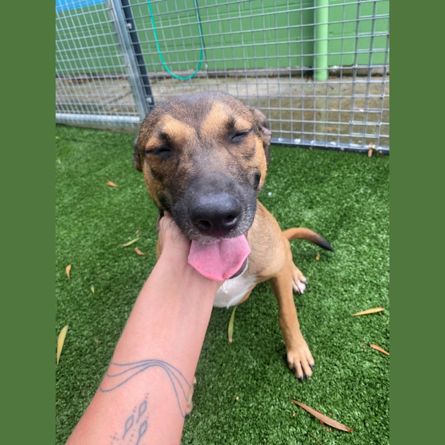 Photo of D1117 Katia