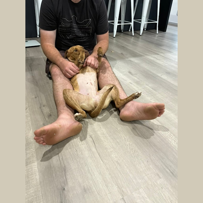 Photo of Mila And Lindy