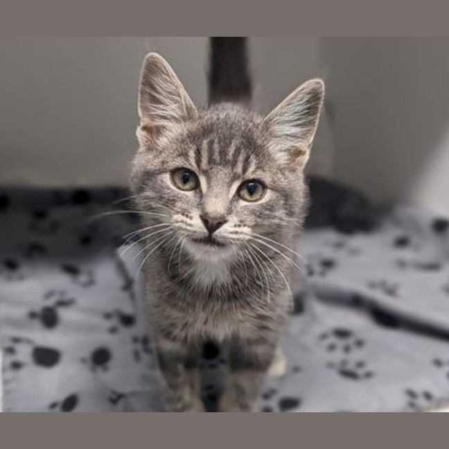 Photo of Pedro Rascal 