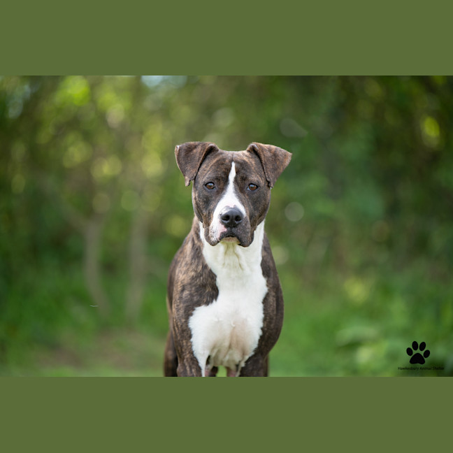 Photo of Sally