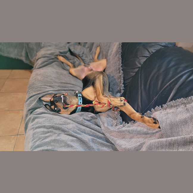 Photo of Charlie