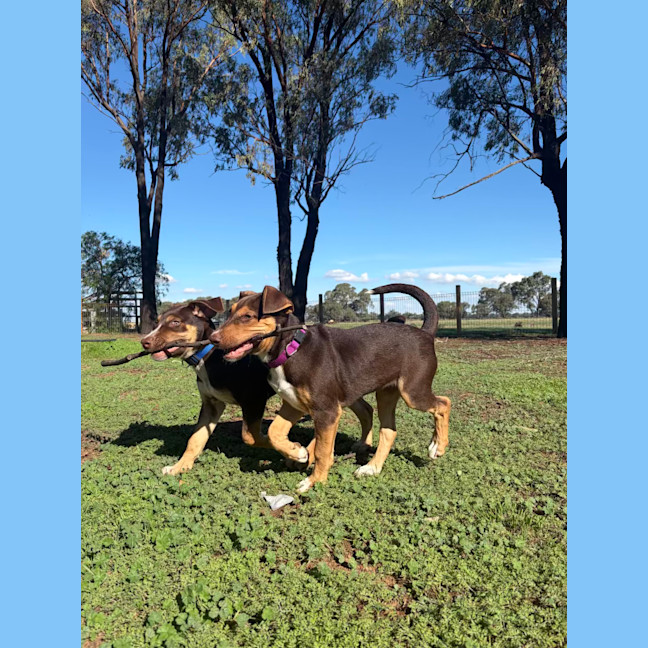 Photo of Winnie