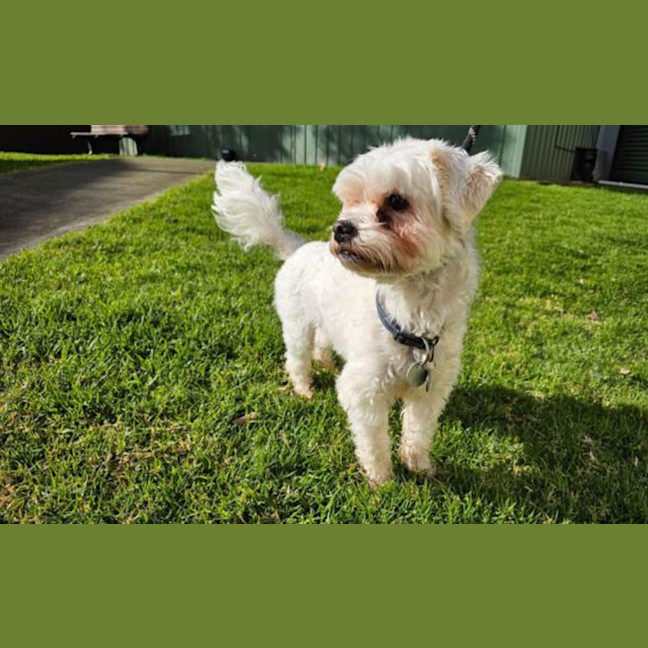 Photo of Bobby