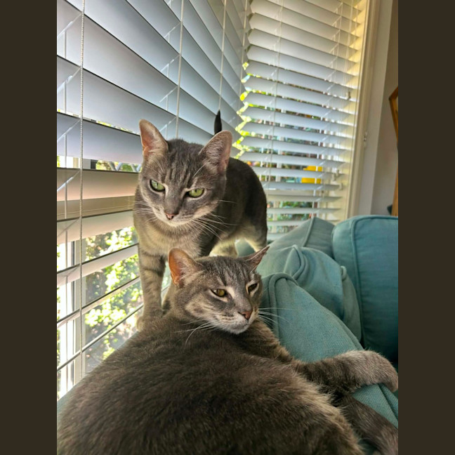 Photo of Patty & Selma