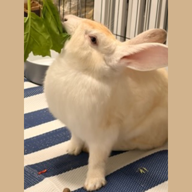 Photo of Victor