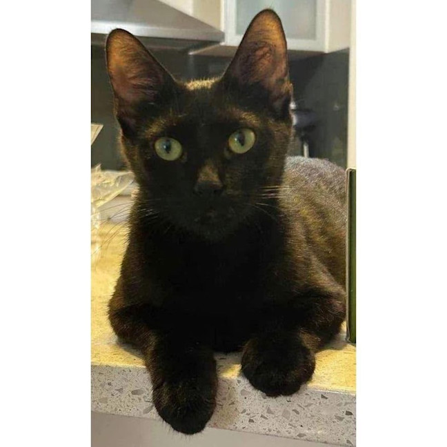 Photo of 11363   Ebby