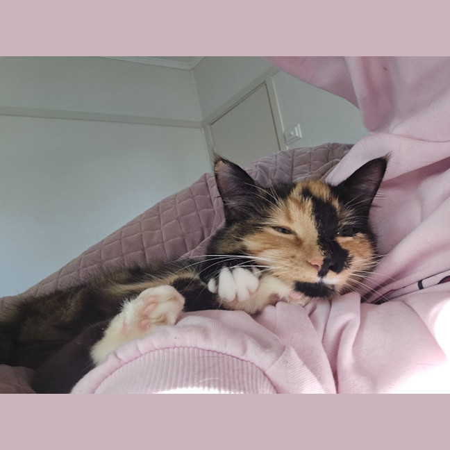 Photo of Sophie