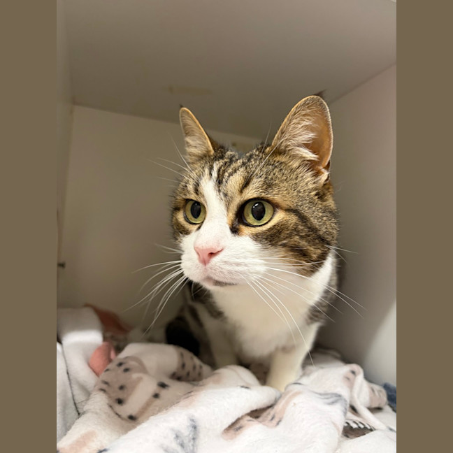 Photo of Tucker