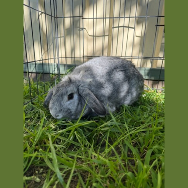 Photo of Stormy