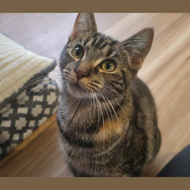 Photo of Willow
