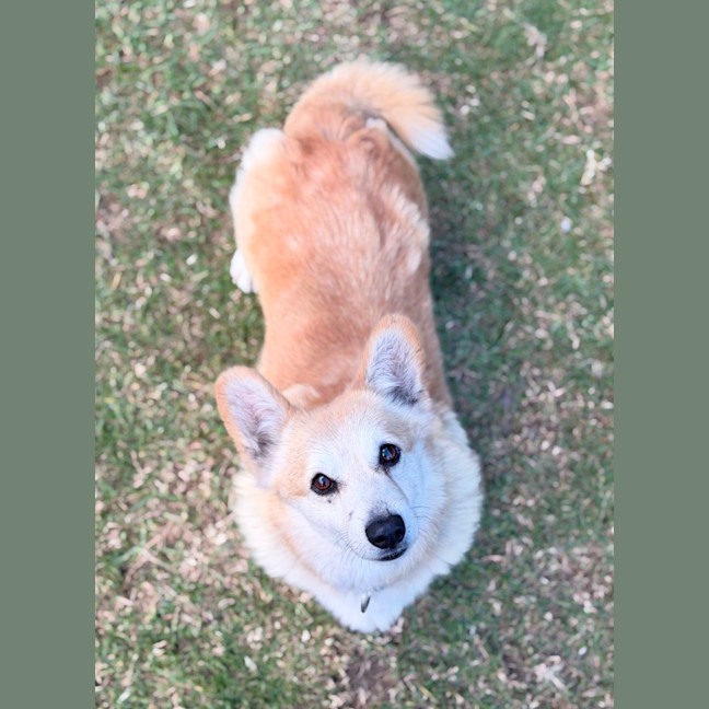Photo of Queenie