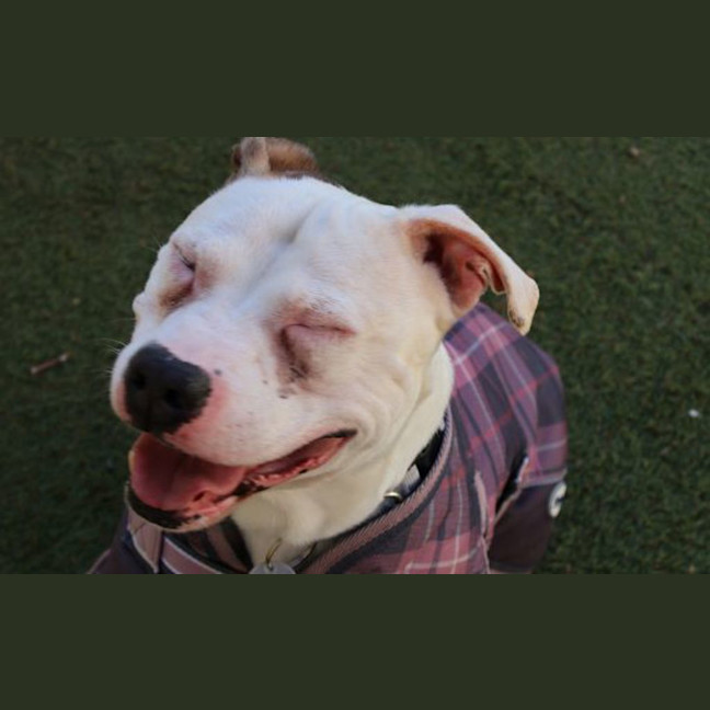 Photo of Tucker