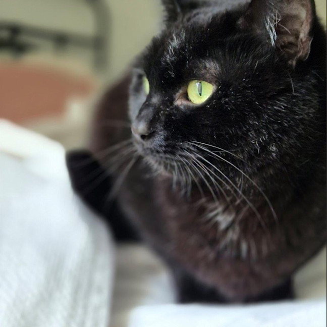 Photo of Mitzy Quinnell