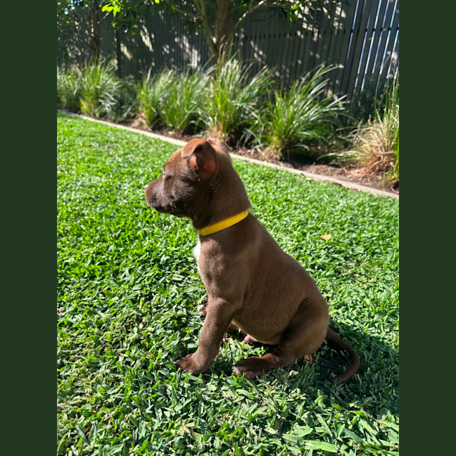 Photo of Lenny