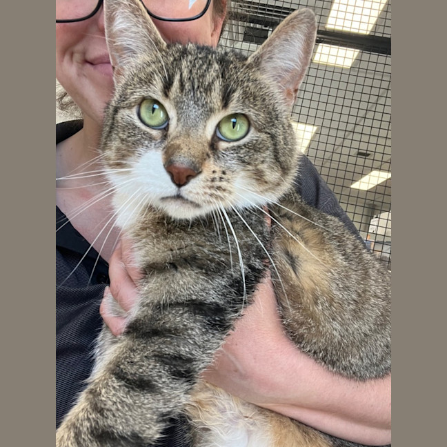 Photo of Butter And Skittles