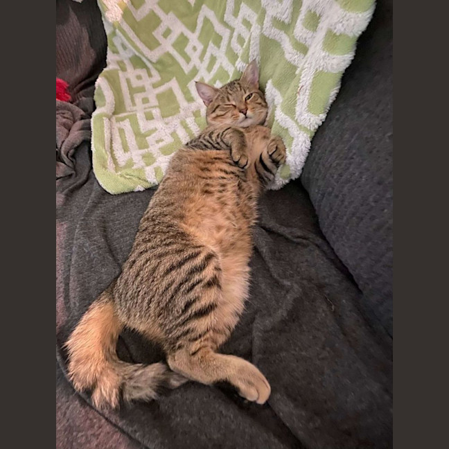 Photo of Nueve (Nui)