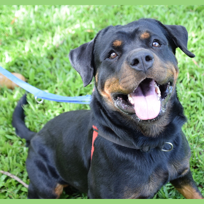 Photo of Sunni
