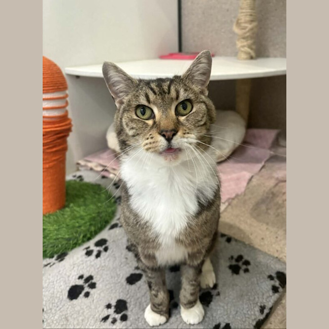 Photo of Emerald