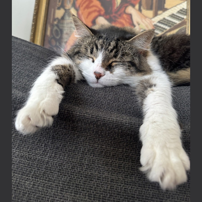 Photo of Boo Radley