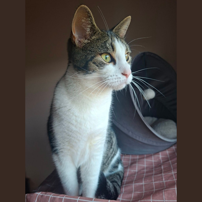 Photo of Tubby