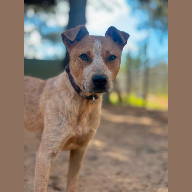 Photo of Bingo 