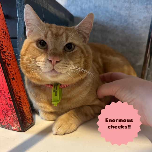 Photo of 🔥Slick Rick🔥