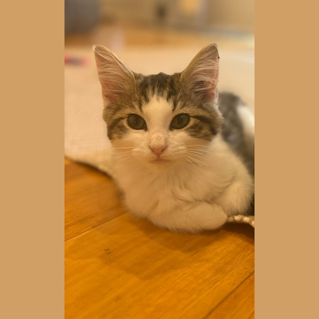 Photo of Orlando And Clem 