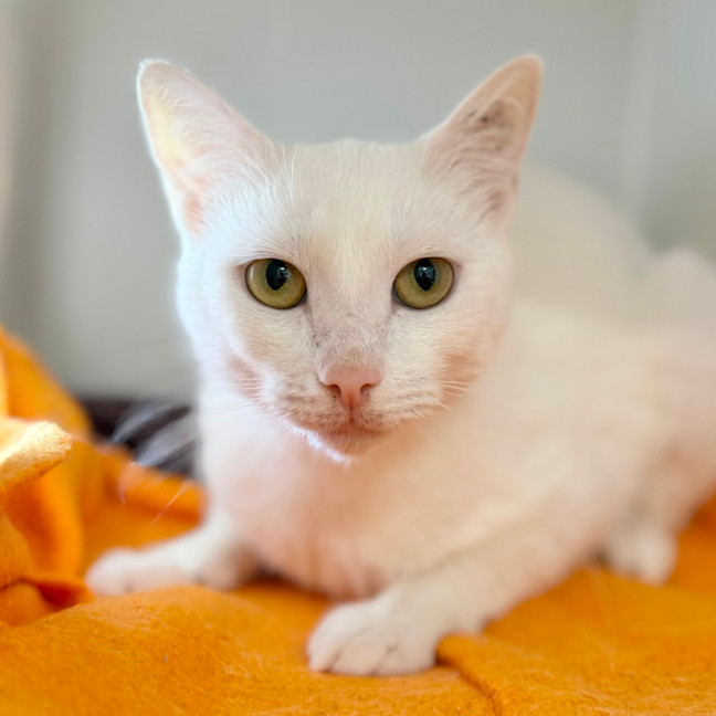 Photo of Sister Mary Roberts