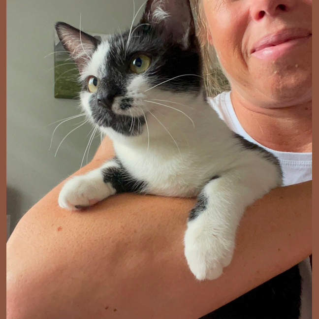 Photo of Dot