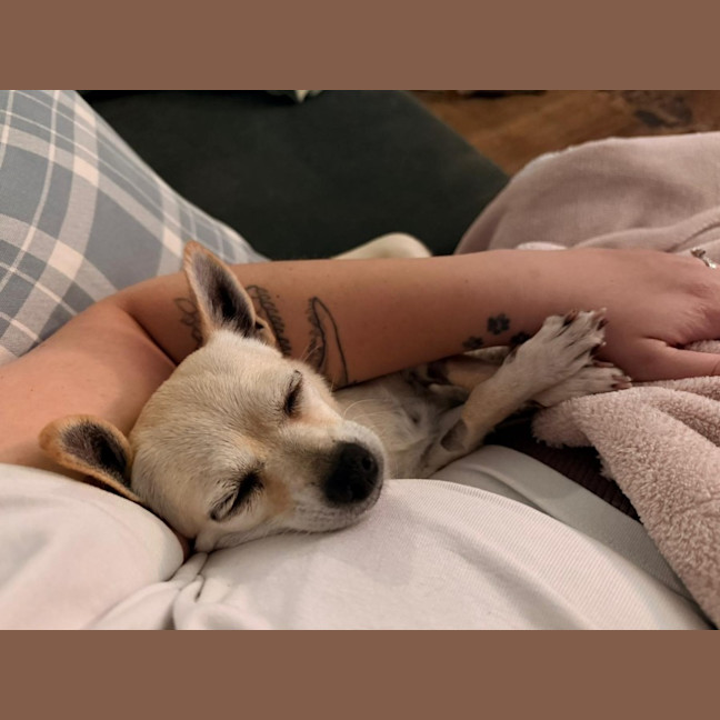 Photo of Honey