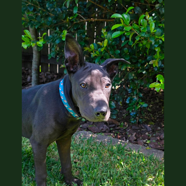 Photo of Zeke